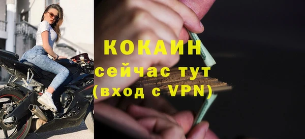 сатива Няндома