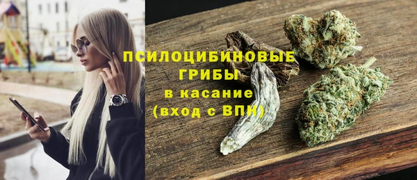 сатива Няндома