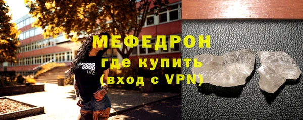 сатива Няндома