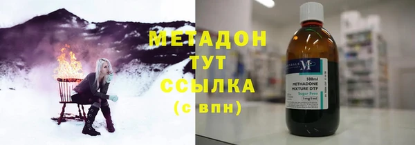 сатива Няндома