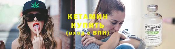 сатива Няндома
