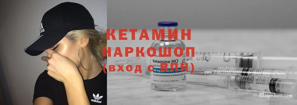 сатива Няндома