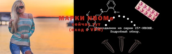 прущие грибы Ельня