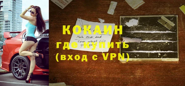 сатива Няндома