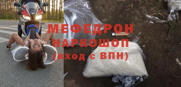сатива Няндома