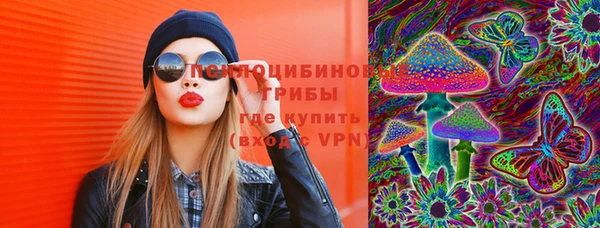 гидра Зеленодольск