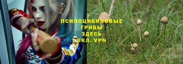 сатива Няндома
