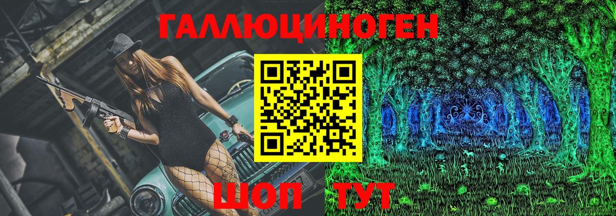 Псилоцибиновые грибы Psilocybe Куйбышев