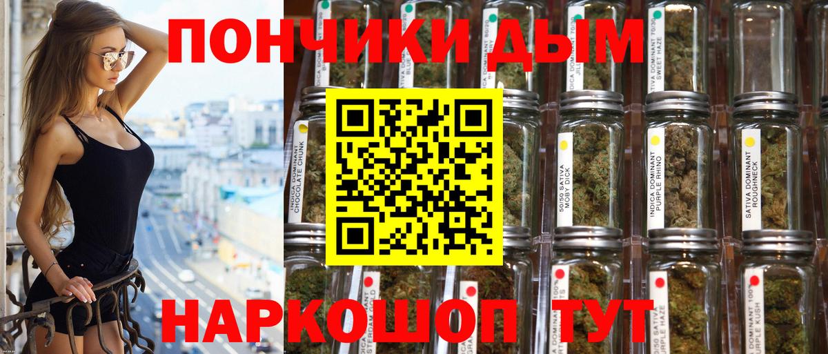 Конопля гибрид Куйбышев